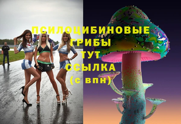 apvp Алексеевка