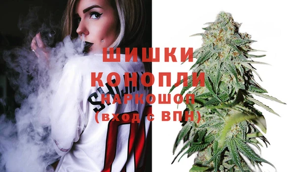 ГАЛЛЮЦИНОГЕННЫЕ ГРИБЫ Абаза
