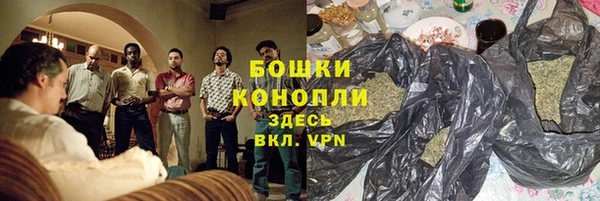 ГАЛЛЮЦИНОГЕННЫЕ ГРИБЫ Абаза