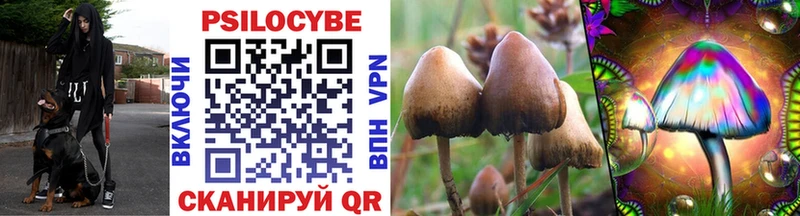 Галлюциногенные грибы мицелий  Ухта 